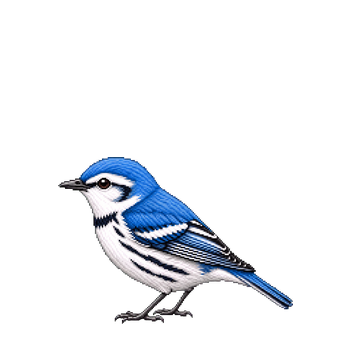 Illustration of a Cerulean Warbler